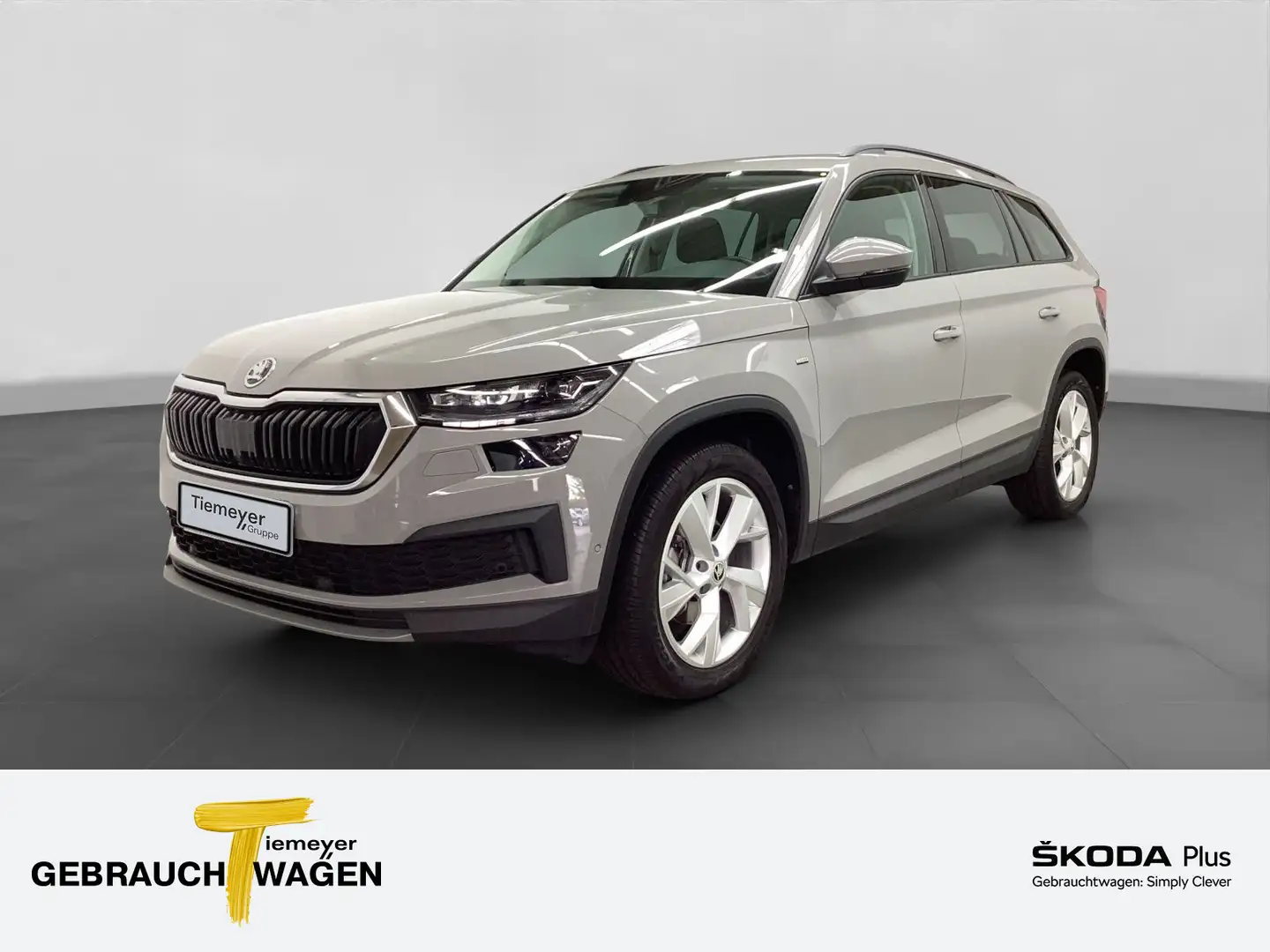 Skoda Kodiaq CLEVER 7-SITZE LM19 AHK Gris - 1