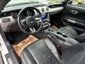 Ford Mustang Cabrio *SHZ*Navi*SBL*Kamera*19-zoll* Weiß - thumbnail 10