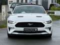 Ford Mustang Cabrio *SHZ*Navi*SBL*Kamera*19-zoll* Weiß - thumbnail 2