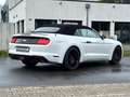 Ford Mustang Cabrio *SHZ*Navi*SBL*Kamera*19-zoll* Weiß - thumbnail 8