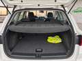 SEAT Arona 1.0 TSI 81kW (110CV) Style Plus Blanco - thumbnail 5