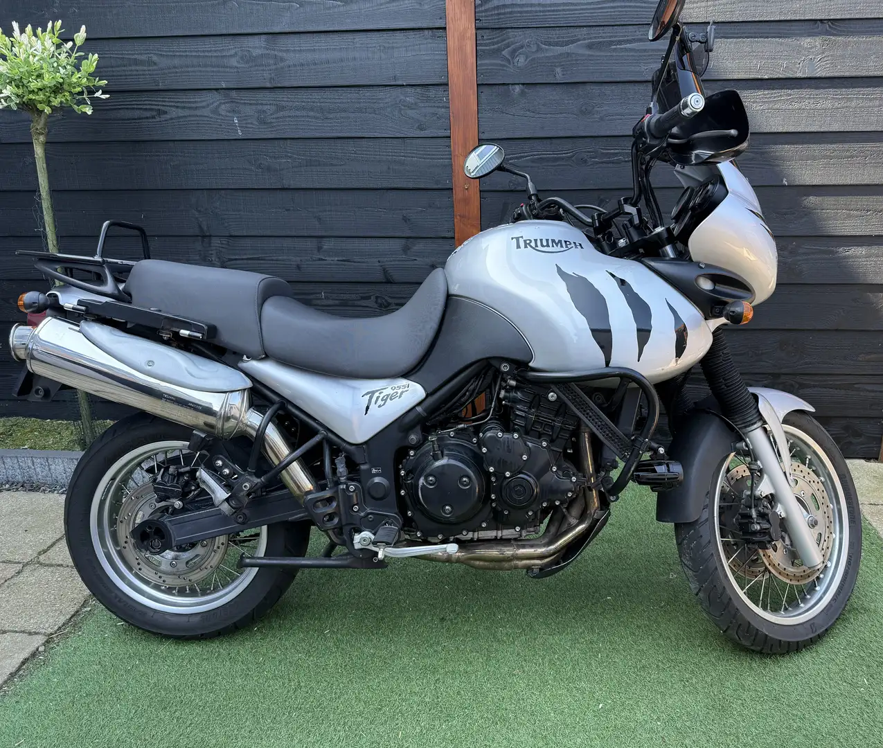 Triumph Tiger 955i Gümüş rengi - 1