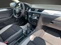 Skoda Rapid/Spaceback 1.0TSI Spaceback Ambition SHZ PDC Scheckh. Blau - thumbnail 12