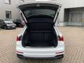 Audi Q3 S line 40 TFSI 2x S line quattro Matrix Pano Weiß - thumbnail 22