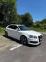 Audi S3 A3 II 2008 3p 2.0 tfsi quattro - thumbnail 1