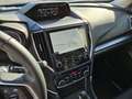 Subaru Forester 2.0i-S e-Boxer Luxury  demo niet ingeschreven Gris - thumbnail 11