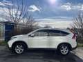 Honda CR-V 2,2i-DTEC Executive 4WD Aut. Service+Pickerl NEU Weiß - thumbnail 5