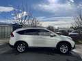 Honda CR-V 2,2i-DTEC Executive 4WD Aut. Service+Pickerl NEU Weiß - thumbnail 2