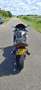 Honda CBR 1100 Super Blackbird Brons - thumbnail 15