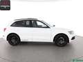 Audi SQ5 SQ5 3.0 TDI V6 COMPETITION qu PANORAMA,KAMERA Weiß - thumbnail 6