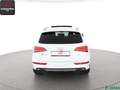 Audi SQ5 SQ5 3.0 TDI V6 COMPETITION qu PANORAMA,KAMERA Weiß - thumbnail 4