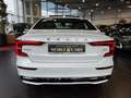 Volvo S60 Lim. Plus Dark PANO 360° H/K LED Weiß - thumbnail 6