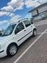 Fiat Panda Panda5 porte benzina /metano Bianco - thumbnail 4
