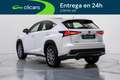 Lexus NX 300h Business Navigation 2WD Blanco - thumbnail 9