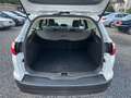 Ford Focus Kombi 1.0l *TÜV/ASU NEU* Weiß - thumbnail 10