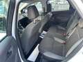 Ford Focus Kombi 1.0l *TÜV/ASU NEU* Weiß - thumbnail 13