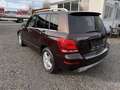 Mercedes-Benz GLK 250 CDI BlueTec 4Matic XENON LEDER STHZ 1.H Marrón - thumbnail 4