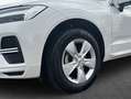 Volvo XC60 XC60 B5 B AWD Core Blanc - thumbnail 5