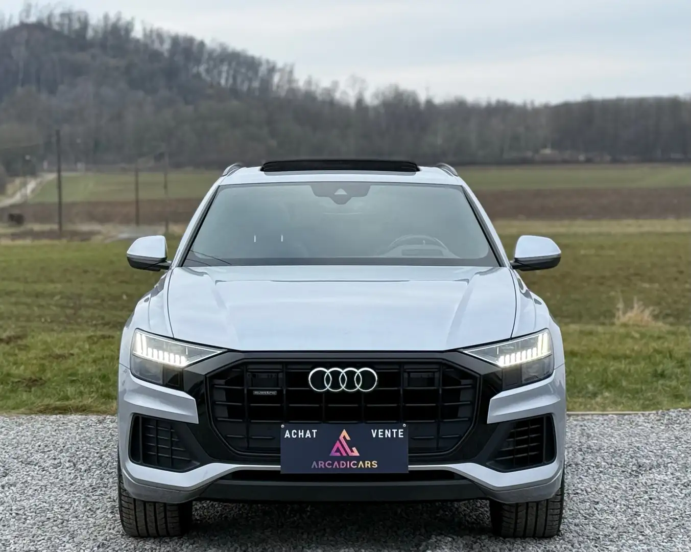 Audi Q8 S-LINE QUATTRO TOIT PANORAMIQUE FULL OPTIONS Argent - 2