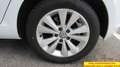 Volkswagen Golf 1.6 TDI 110 CV 5p. Business BlueMotion Blanco - thumbnail 14