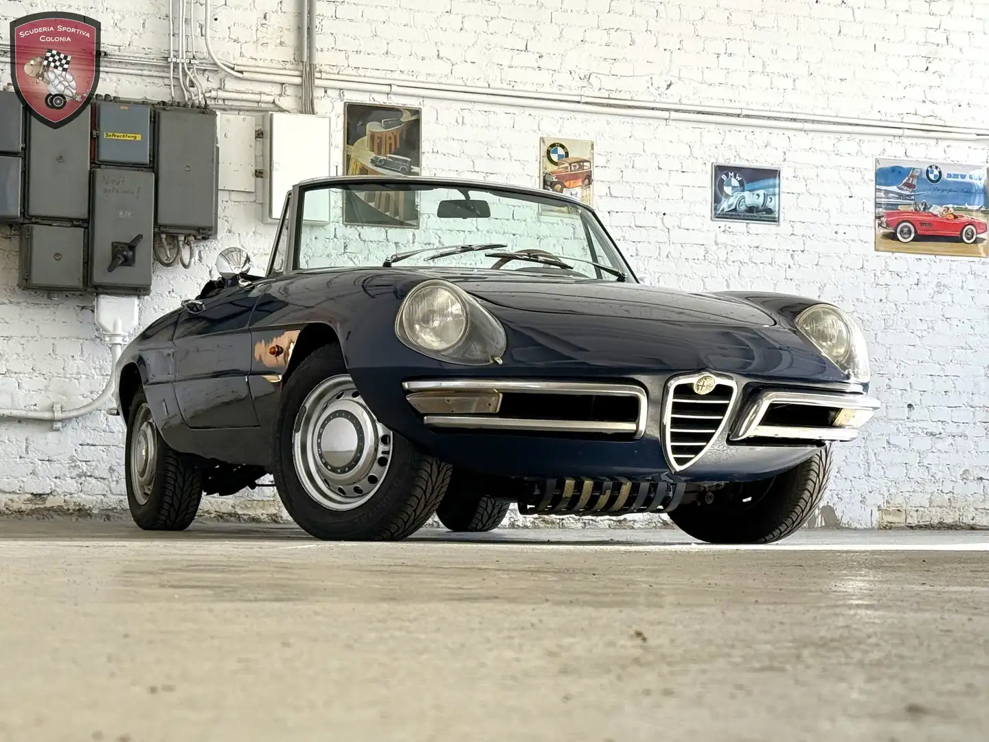 Alfa Romeo Spider Duetto 1750 Veloce Bleu - 1