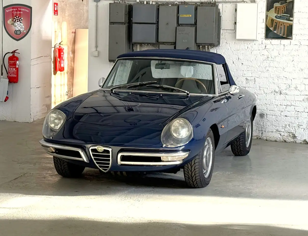Alfa Romeo Spider Duetto 1750 Veloce, foto 12