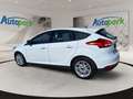 Ford Focus 1.0 ECOBOOST100PS Titanium Weiß - thumbnail 6