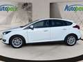 Ford Focus 1.0 ECOBOOST100PS Titanium Weiß - thumbnail 4