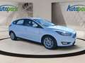 Ford Focus 1.0 ECOBOOST100PS Titanium Weiß - thumbnail 3