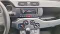 Fiat Panda City Cross  Hybrid Schwarz - thumbnail 12
