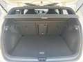 Volkswagen Golf R 2.0 TSI DSG 4Motion BLACK STYLE 333PS PER Weiß - thumbnail 15