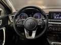 Kia Ceed / cee'd 1.0 T-GDi DynamicPlusLine, Cruise, Multistuur, Blu Zilver - thumbnail 13