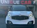 Chatenet CH40 CH46 ST Bianco - thumbnail 2