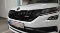 Skoda Kodiaq RS TDI 4x4 RS DSG Weiß - thumbnail 4