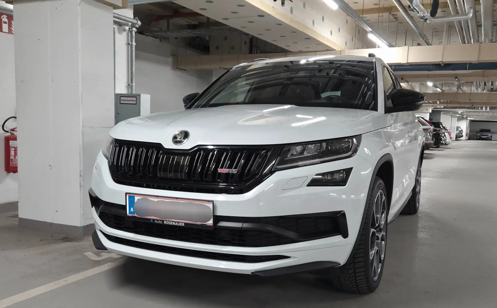 Skoda Kodiaq RS TDI 4x4 RS DSG Weiß - 1
