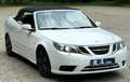 Saab 9-3 1.9 TTiD Cabriolet Vector Weiß - thumbnail 9