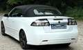 Saab 9-3 1.9 TTiD Cabriolet Vector Weiß - thumbnail 12