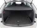 Skoda Octavia Combi Scout 4X4 2.0 TDI DSG MATRIX+RADAR Grau - thumbnail 21