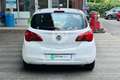 Opel Corsa Corsa 1.2 5 porte Blanc - thumbnail 6