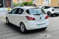 Opel Corsa Corsa 1.2 5 porte Blanc - thumbnail 7