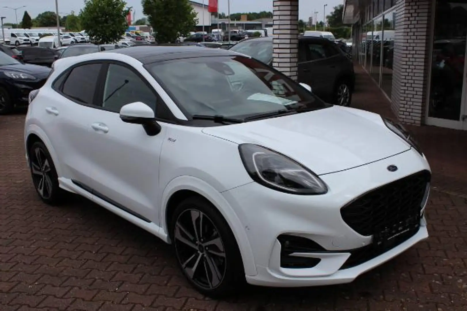 Ford Puma ST Line X MHEV 1,0 155PS / PANO + B&O + ACC + FGS Weiß - 2