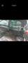 Renault Twingo 1.2 16v Easy Chic - thumbnail 5