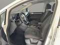 Volkswagen Touran 1.5TSI DSG HL LED/StHz/Navi/ACC/Kamera Weiß - thumbnail 12