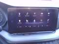 Skoda Octavia Ambition, AHZV, LED, Lenkradheizung, APS hinten Niebieski - thumbnail 10