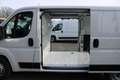 Fiat Ducato KW35 L2H1 140 Automatik Voll Led Abstand... Schwarz - thumbnail 20
