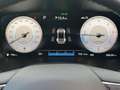 Hyundai SANTA FE 2.2CRDi 4WD Prime LED|Pano|AHK|ACC|20" Grau - thumbnail 14