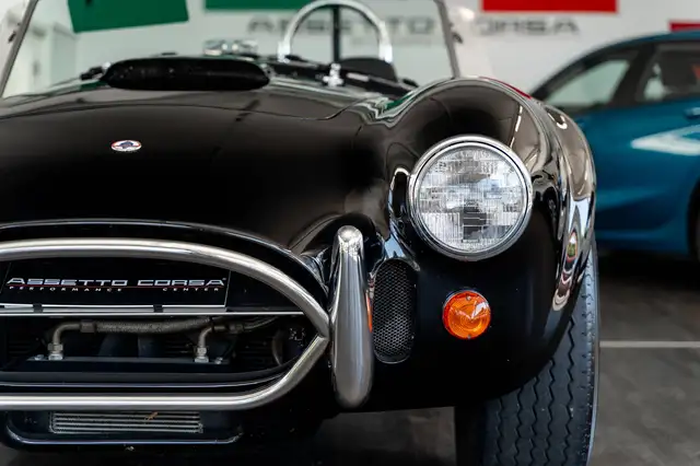 Ac Cobra view 15