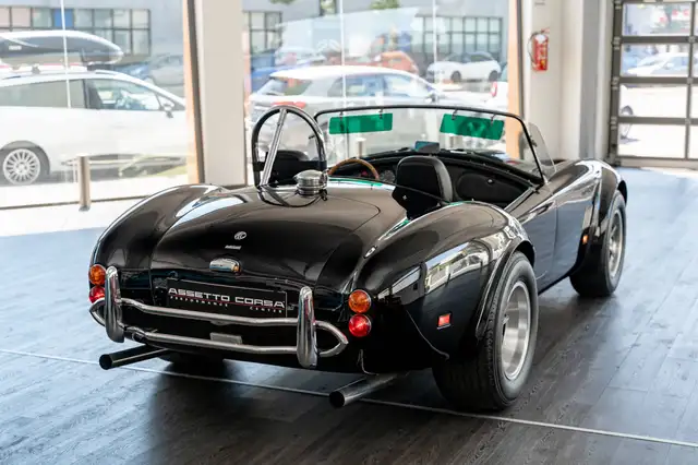 Ac Cobra view 6