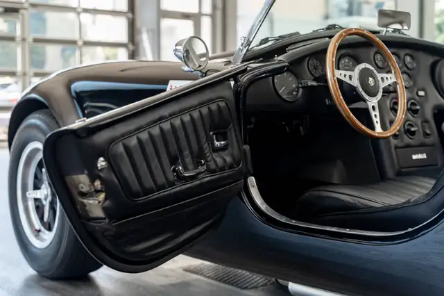 Ac Cobra view 7