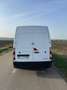 Renault Master Ch.DCb. dCi 120kW P Energy L3 3500 RG - thumbnail 5